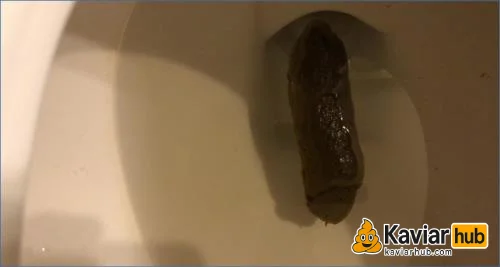 Tina Amazon presst verstopften dicken Stuhlgang auf dem Klo raus - Kaviar Scat Video auf KaviarHub