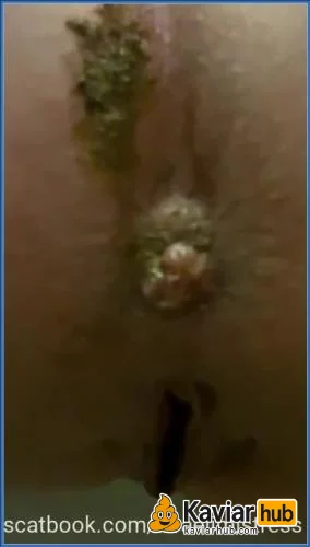 Mistress Jardena serviert ihren Toilettensklaven das schmutzige Mittagessen herunterladen auf KaviarHub