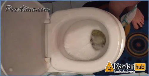 PooAlina macht morgens ihr Toiletten-Selfie mit dreckigem Höschen herunterladen auf KaviarHub