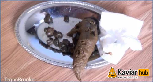 Tegan comfortably takes a heavy dump on a plate in the bedroom - Kaviar Scat Video auf KaviarHub