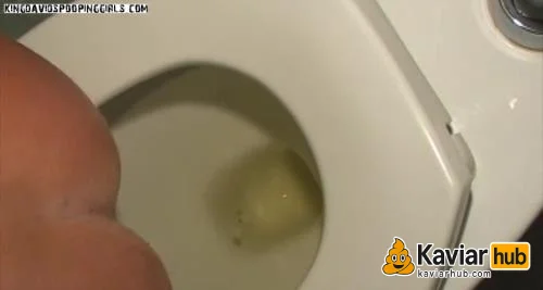 Alina und Jessi machen die dreckige Toilettenkabine voll - Kaviar Scat Video auf KaviarHub