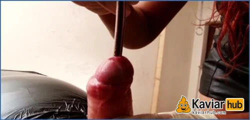 Toilet Slave Lady Amy Feeds Her Sub with Kaviar Part 2 herunterladen auf KaviarHub